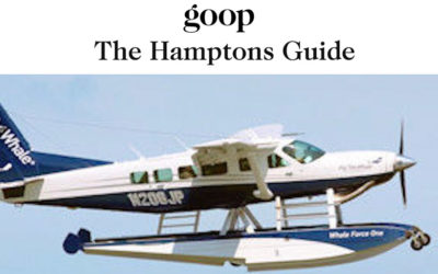 GOOP Travel Guide to the Hamptons Recommends Fly The Whale