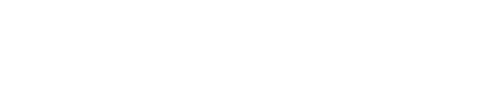 FLY THE WHALE